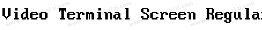 Video Terminal Screen Regular Unkno字体转换